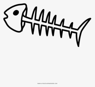 Fish Bone Drawing Ishikawa Diagram Coloring Book - Espina De Pescado Dibujo, HD Png Download, Transparent PNG