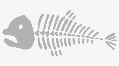 Transparent Fish Bone Clipart - Dead Fish Bones Png, Png Download, Transparent PNG