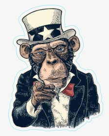 Uncle Sam Want You , Png Download - Uncle Sam Monkey, Transparent Png, Transparent PNG