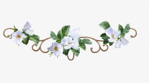 White Flowers PNG Images, Transparent White Flowers Image Download - PNGitem