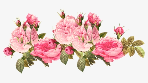 Romantic Pink Flower Border Png Photos - Transparent Pink Flower Png, Png Download, Transparent PNG