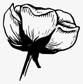 Flower Black And White Black And White Flower Border - Black And White Photo Simple, HD Png Download, Transparent PNG