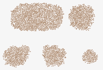 Ivory, HD Png Download, Transparent PNG