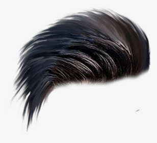 Hairstyles Png Transparent Images - Man Png Hair Style, Png Download, Transparent PNG