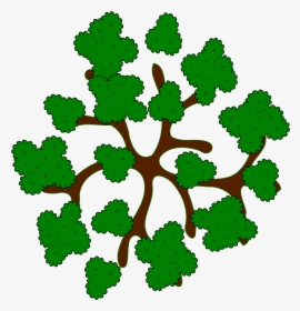 28 Collection Of Trees Clipart Top View - Clip Top Of Tree, HD Png Download, Transparent PNG
