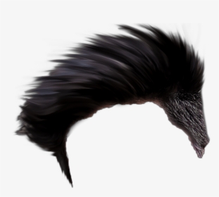<yoastmark - - Best Hair Style Png, Transparent Png, Transparent PNG