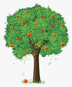 Apple Tree Image - Apple Tree Clipart Png, Transparent Png, Transparent PNG
