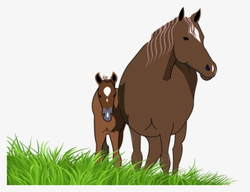 Horse And Foal Clipart, HD Png Download, Transparent PNG