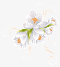 White Flower Decor Transparent Png Clip Art Image - White Flower Transparent Backgroud, Png Download, Transparent PNG