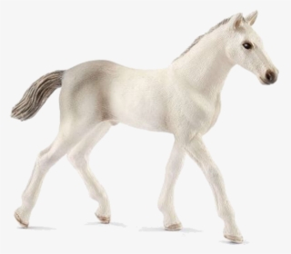 Schleich Horse Foal, HD Png Download, Transparent PNG