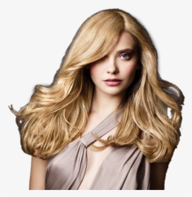 Capelli Salon A Paul - Blonde But Not Stupid, HD Png Download, Transparent PNG
