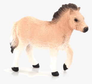 Transparent Foal Png - Pony, Png Download, Transparent PNG
