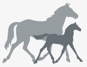 Mare With Foal Silhouette Horse Silhouette Clipart High Hopes Stable Roblox Hd Png Download Transparent Png Image Pngitem - smallishbeans artist horse roblox hide and seek png clipart