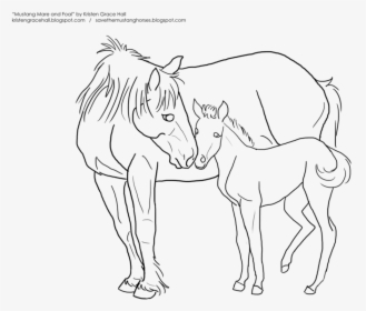 Horse And Foal Drawing At Getdrawings - Kleurplaat Paard En Veulen, HD Png Download, Transparent PNG