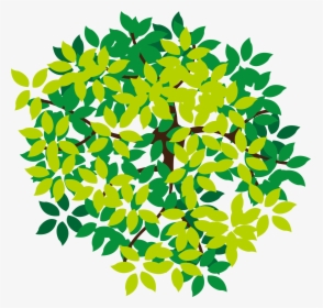 Lush Top Tree Icon Png Download Free Clipart - Tree Top Vector Png, Transparent Png, Transparent PNG