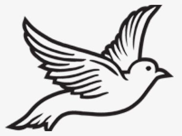 Dove Clipart Roman Catholic - Dove Clipart Black And White, HD Png Download, Transparent PNG