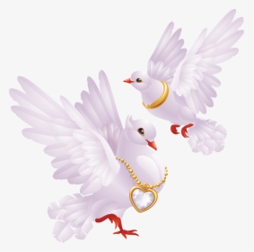 Pin By Aynur Bobaro Lu On Bride - Dove For Wedding Png, Transparent Png, Transparent PNG