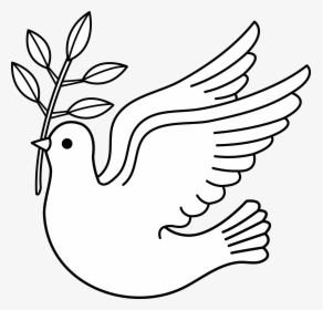 White Dove Clipart - Symbolism Clipart, HD Png Download, Transparent PNG