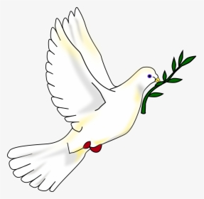 Clip Art Dove With Olive Branch Clipart - Imagen De La Paloma De La Paz, HD Png Download, Transparent PNG
