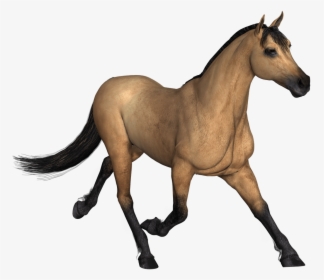 Figure,mane,mustang S Character,foal,tail,pony - Horse Render, HD Png Download, Transparent PNG