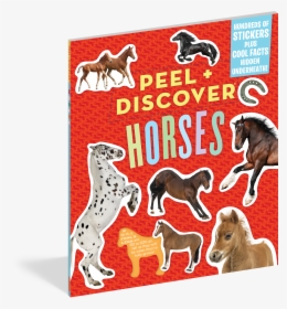 Cover - Peel + Discover: Horses, HD Png Download, Transparent PNG