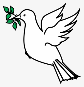 Olive Branch Petition Columbidae - Dove Olive Branch Clipart, HD Png Download, Transparent PNG