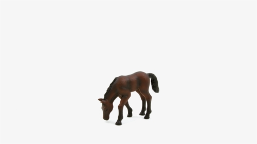 Stallion, HD Png Download, Transparent PNG