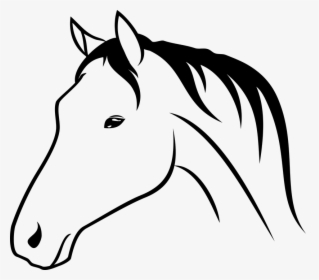 Bra Animal Horse Head - Horse Head Drawing Png, Transparent Png, Transparent PNG
