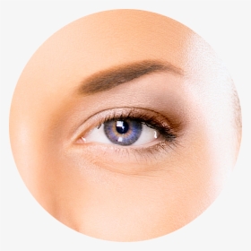The External Eye Diagram - Eye, HD Png Download, Transparent PNG