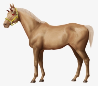 Baby Horse Png , Png Download - Horseworldonline Png, Transparent Png, Transparent PNG