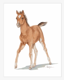 Clip Art Baby Horse - Baby Horse Png, Transparent Png, Transparent PNG
