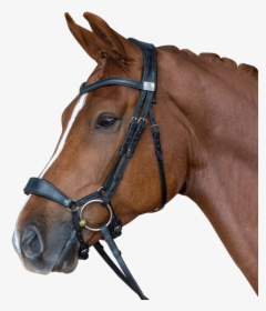 Transparent Horse Mask Png - Fairfax Drop Noseband Bridle, Png Download, Transparent PNG