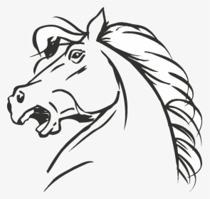 Clip Art Collection Of Free Drawing - Coloring In Horse Head, HD Png Download, Transparent PNG