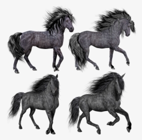 Horse, Pony, Mare, Stallion, Isolated, Black, Grey - Png Hair Horse, Transparent Png, Transparent PNG