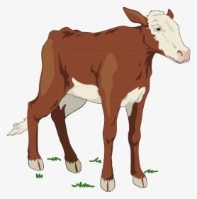 Brown And White Baby Cow Svg Clip Arts - Brown Baby Cow Clipart, HD Png Download, Transparent PNG
