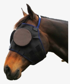 Horse Accessories, HD Png Download, Transparent PNG