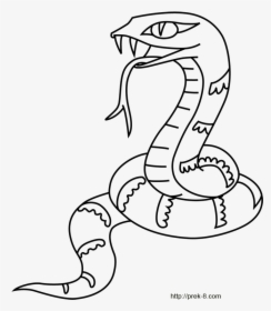 Jungle Animals Coloring Pages, Wild Animals Coloring - Wild Animals For Coloring, HD Png Download, Transparent PNG