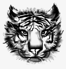 Transparent Angry Lion Png - Siberian Tiger, Png Download, Transparent PNG
