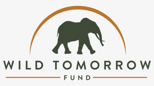 Transparent Wild Animal Png - Wild Tomorrow Fund Logo, Png Download, Transparent PNG