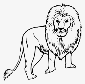 Image Of A Black And White Lion - Lion Picture Black And White, HD Png Download, Transparent PNG