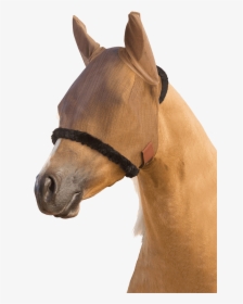 Farnam Horse Fly Mask, HD Png Download, Transparent PNG