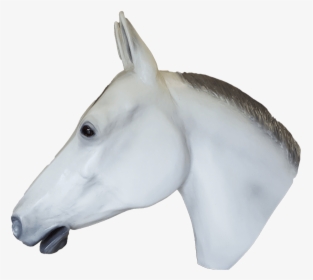 Life Size Display Grey Quarter Horse Head Looking Left - Stallion, HD Png Download, Transparent PNG