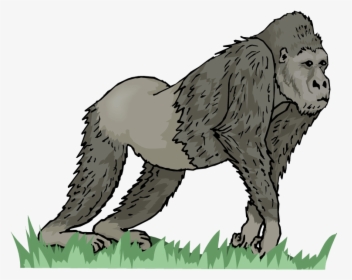 Gorilla Clipart Wild Animal - Long Vowel Ape, HD Png Download, Transparent PNG