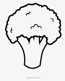 Broccoli Coloring Page, HD Png Download, Transparent PNG
