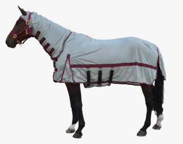 Fly Mask, HD Png Download, Transparent PNG