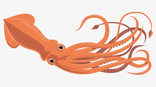 Transparent Squid Girl Png - Squid Clipart, Png Download, Transparent PNG