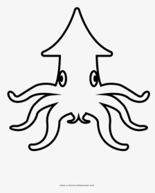 Squid Coloring Book Drawing - Octopus, HD Png Download, Transparent PNG
