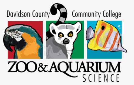 Transparent Suzy Zoo Clipart - Davidson County Community College Zoology, HD Png Download, Transparent PNG