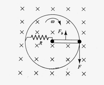 Circle, HD Png Download, Transparent PNG