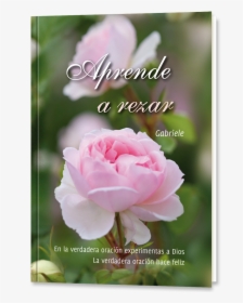 Aprende A Rezar - Rose Us A Medicinal Plant, HD Png Download, Transparent PNG